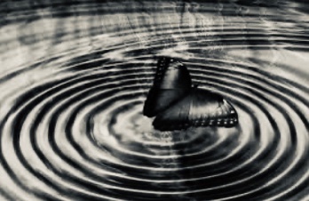 Nenhuma descrição de foto disponível.