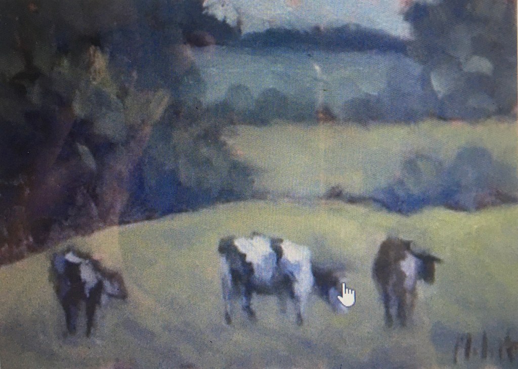 A imagem pode conter: atividades ao ar livre e natureza